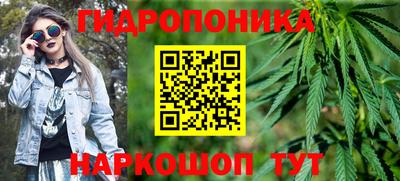 гидропоника Кингисепп