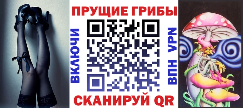 Псилоцибиновые грибы Psilocybe  Полысаево 