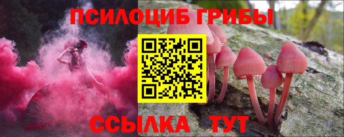 Галлюциногенные грибы Psilocybe  Вход с VPN  Полысаево 